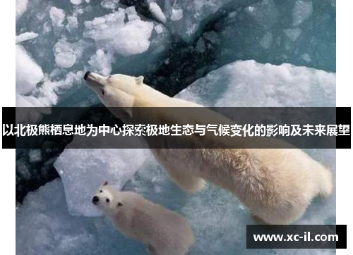 以北极熊栖息地为中心探索极地生态与气候变化的影响及未来展望